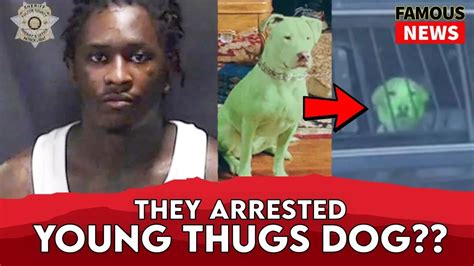 young thug ysl dog|why is young thug arrested.